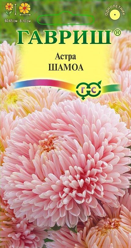 Астра Шамоа, однолетняя (пионовидная) кремовая) 0,3 г фото