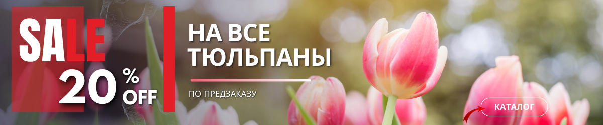 АКЦИЯ НА ТЮЛЬПАНЫ 20