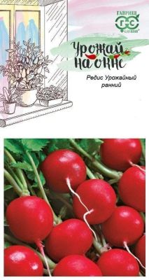 Редис Урожайный ранний "Урожай на окне" фото