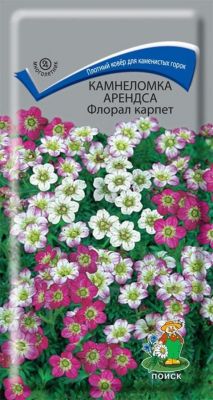 Камнеломка Арендса Флорал Карпет 0,01гр фото