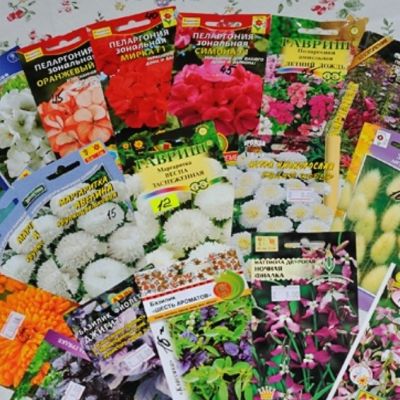 Микс из 8 упаковок семян Микс из 8 упаковок семян фото