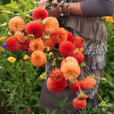 Георгина Бантлинг Георгина Бантлинг - Dolina-Sad.Ru