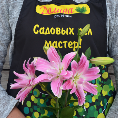 Лилия Лотус Куин Лилия Лотус Куин - Dolina-Sad.Ru