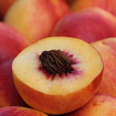 Персик Биянка ди Верона - Dolina-Sad.Ru