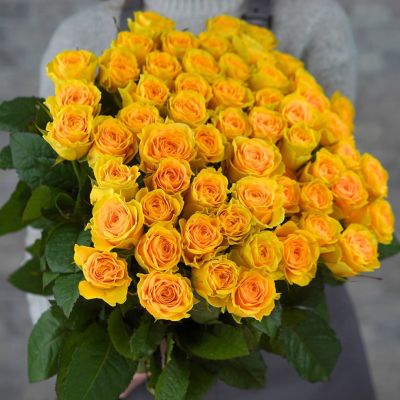 Роза Иллиос Роза Иллиос - Dolina-Sad.Ru