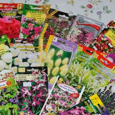 Микс из 8 упаковок семян Микс из 8 упаковок семян фото