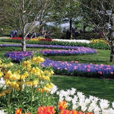 Клумба Весенний Салют Клумба Весенний Салют фото