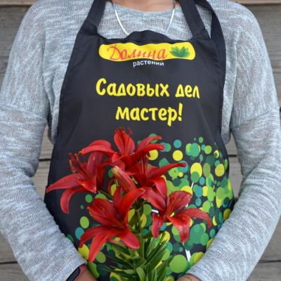 Лилия Ред Хайленд Лилия Ред Хайленд - Dolina-Sad.Ru