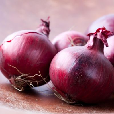 Лук Репчатый Озорник Лук Репчатый Озорник фото