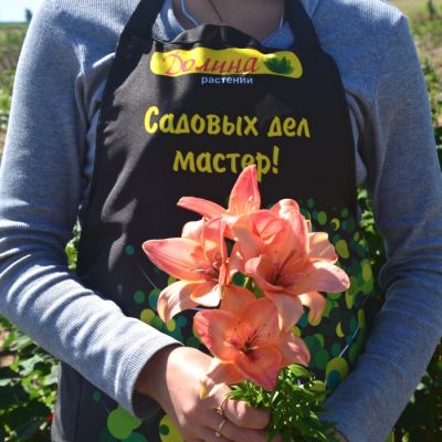 Лилия Изи Бит Лилия Изи Бит - Dolina-Sad.Ru